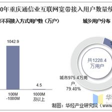 2020年重慶通信業(yè)電信用戶、電信業(yè)務及電信資產(chǎn)統(tǒng)計分析